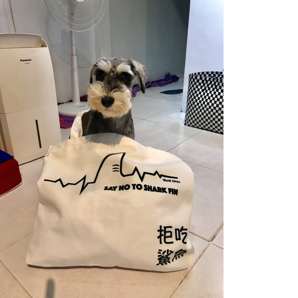 拒吃魚翅帆布包 - 鯊魚心跳