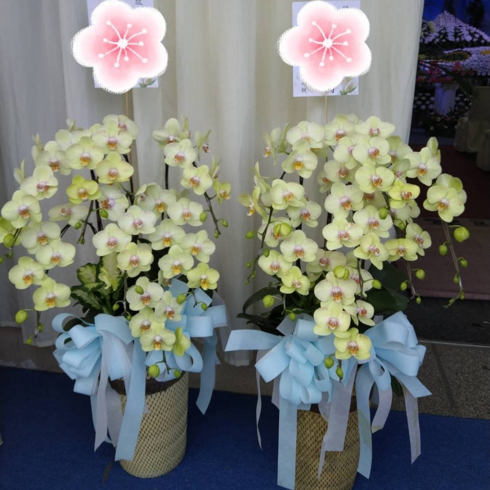 蘭花