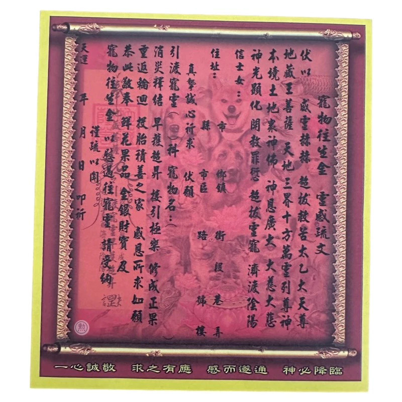 寵物金/盒裝金紙/專用金紙/發財金/金紙/環保金紙/拜拜用品/現貨/