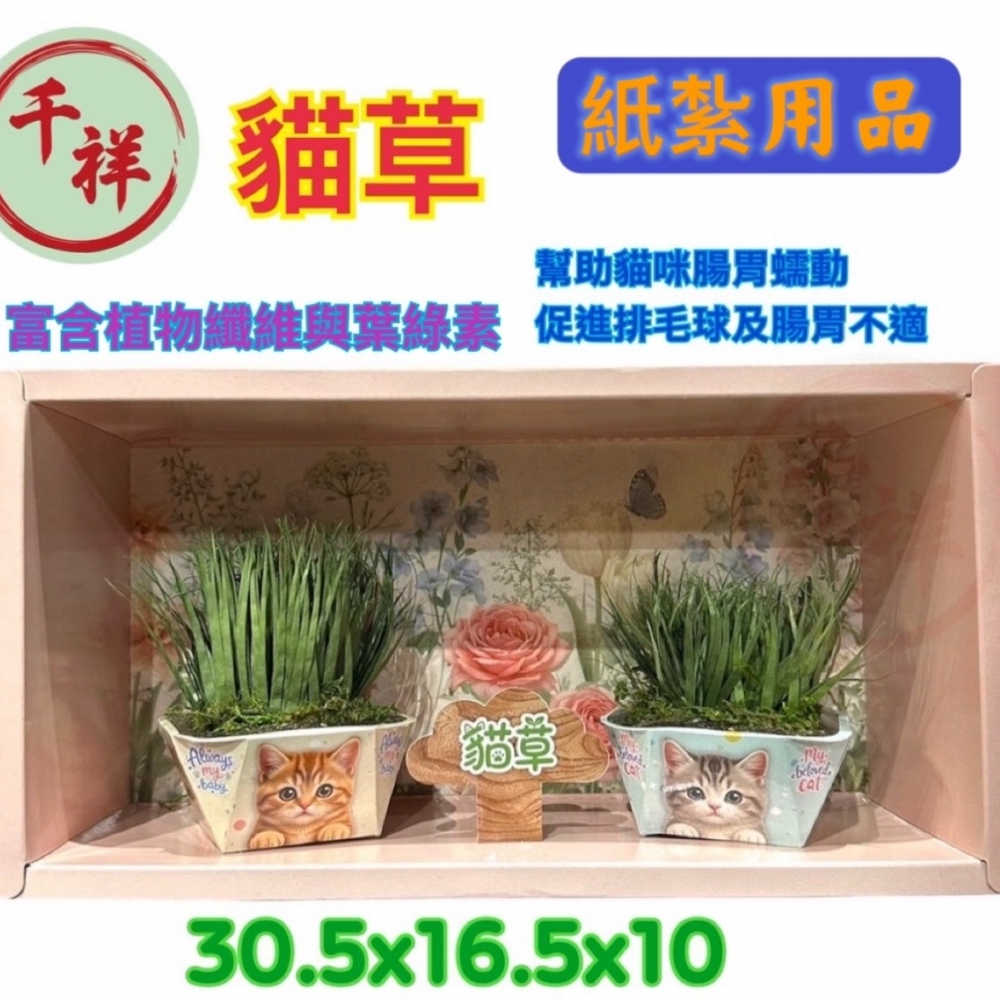 紙紮貓草