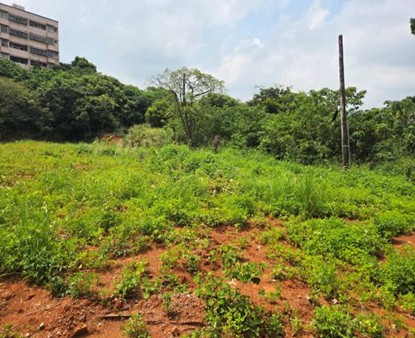 工業地-桃園楊梅工業地1542坪每坪18.5萬