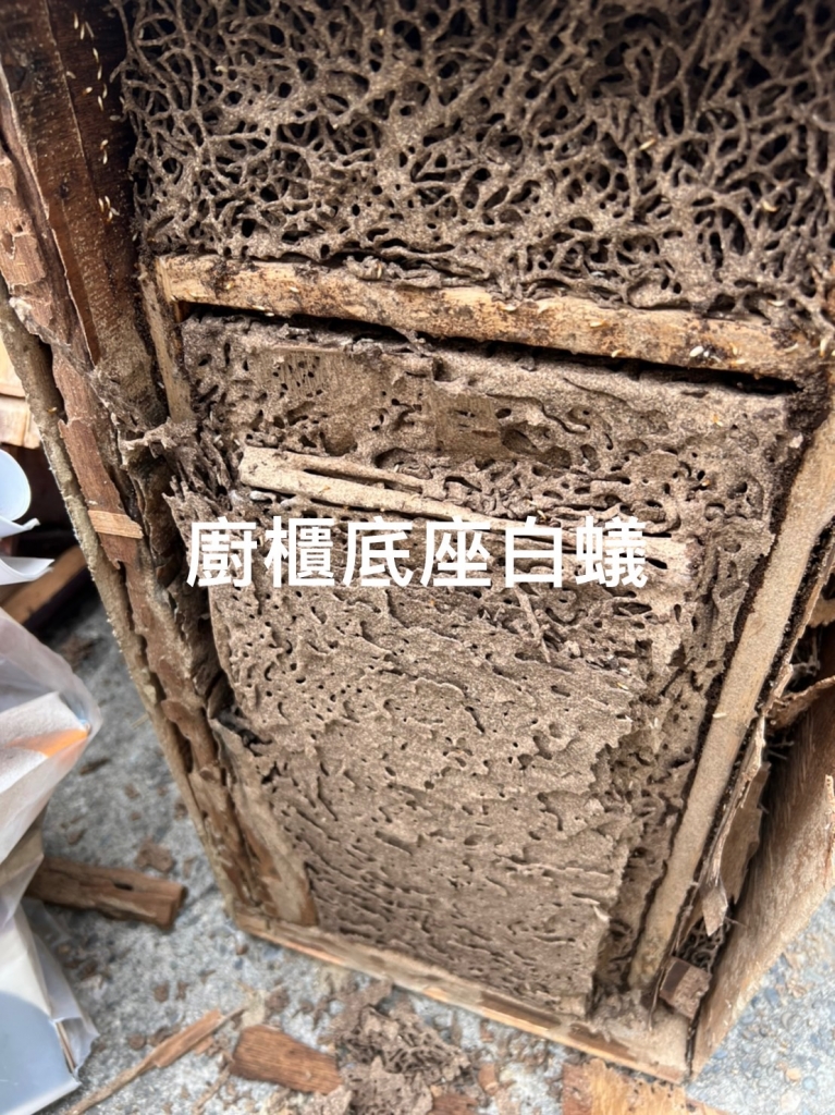 除白蟻