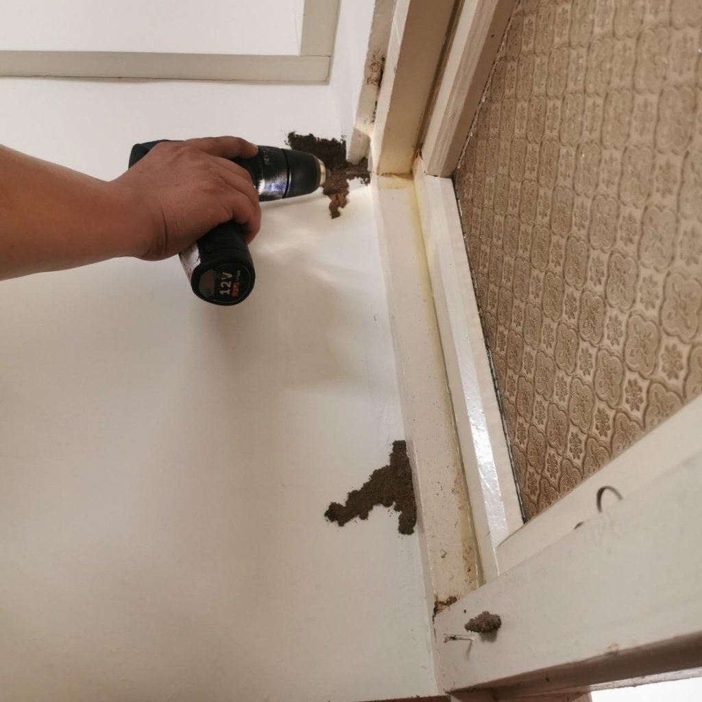 住家天花板+窗戶(白蟻防治)