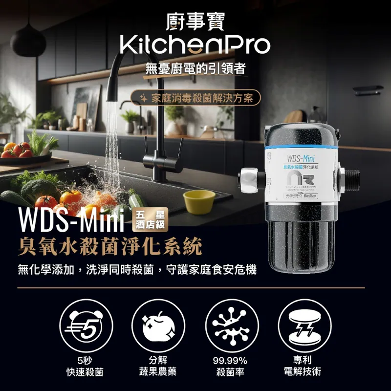 WDS-Mini 臭