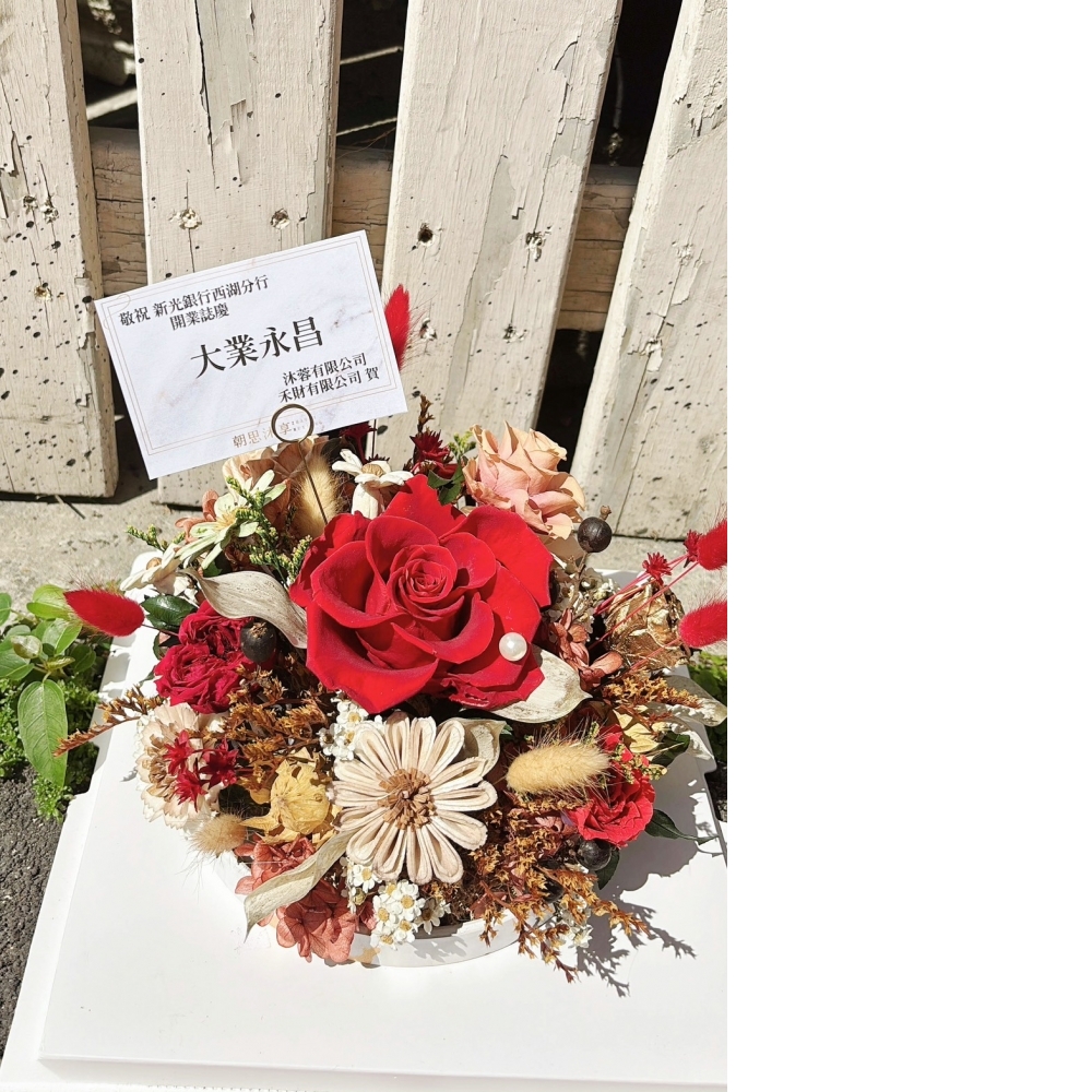  招財進寶 圓圓滿滿大圓盤 