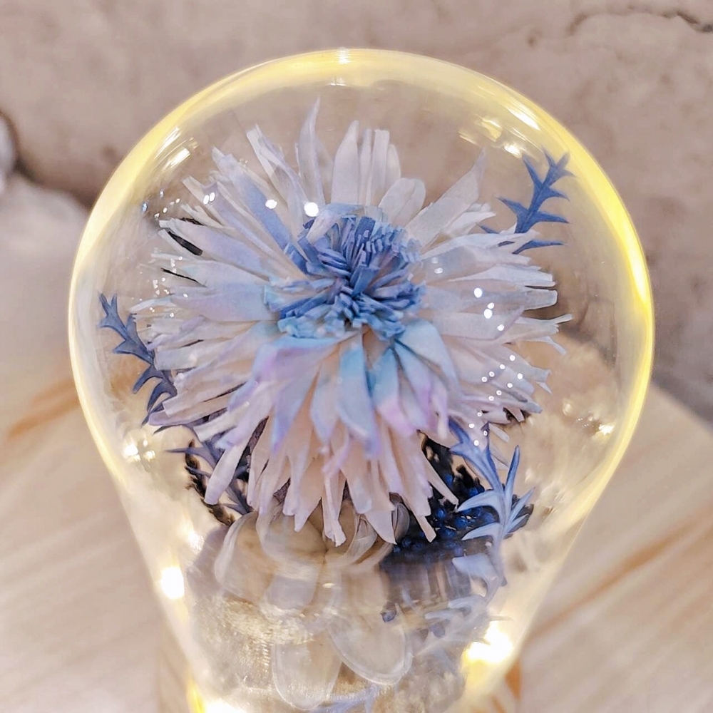 蒼海藍天 三朵索拉花帶燈玻璃罩
